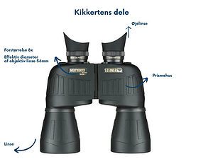 kikkerter