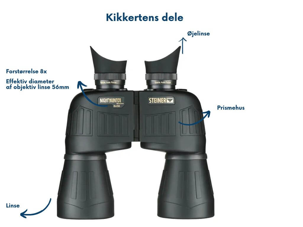 kikkerter
