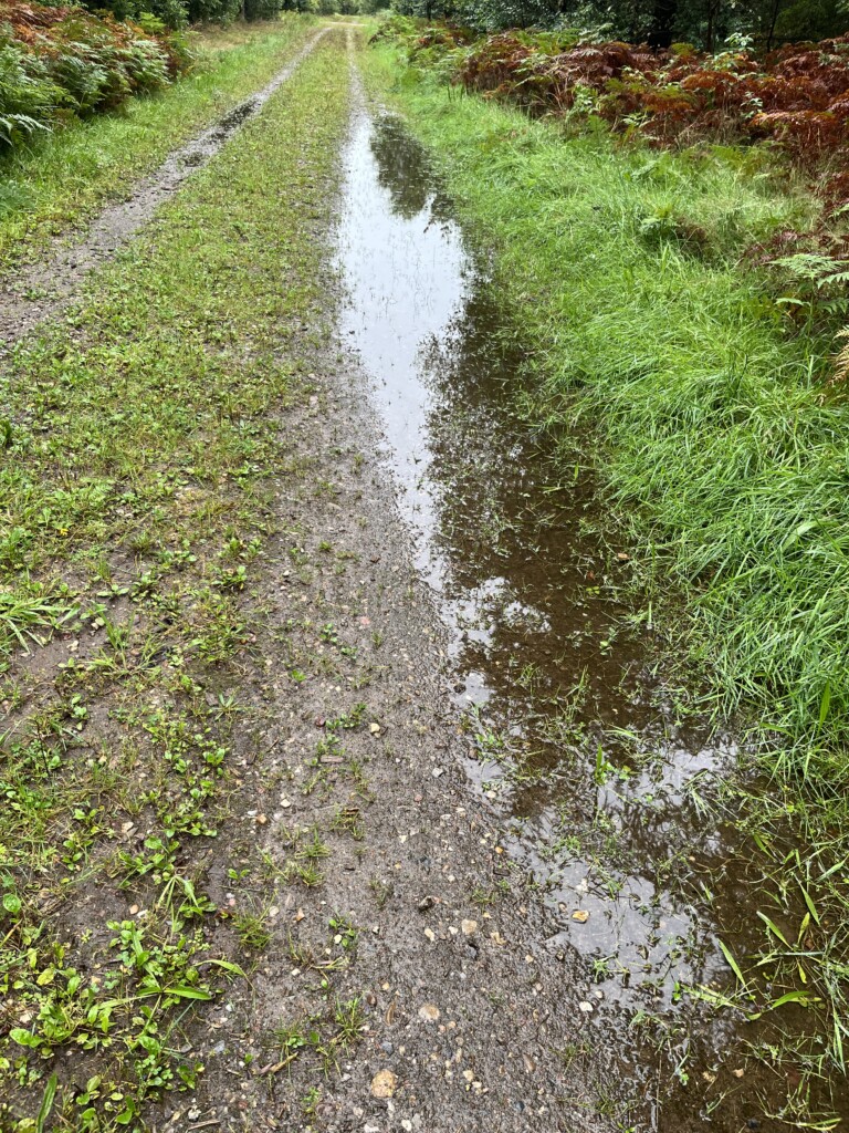 Regnvejrsdag med Fritidsshop.