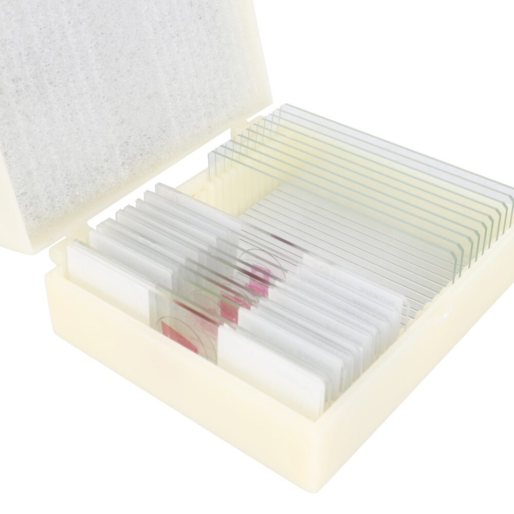Konus Preparation Set Zoology 2 (25 Pcs) 2