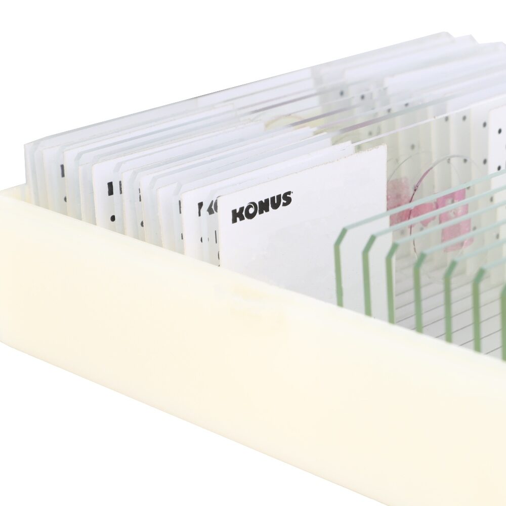 Konus Preparation Set Zoology 2 (25 Pcs) 4